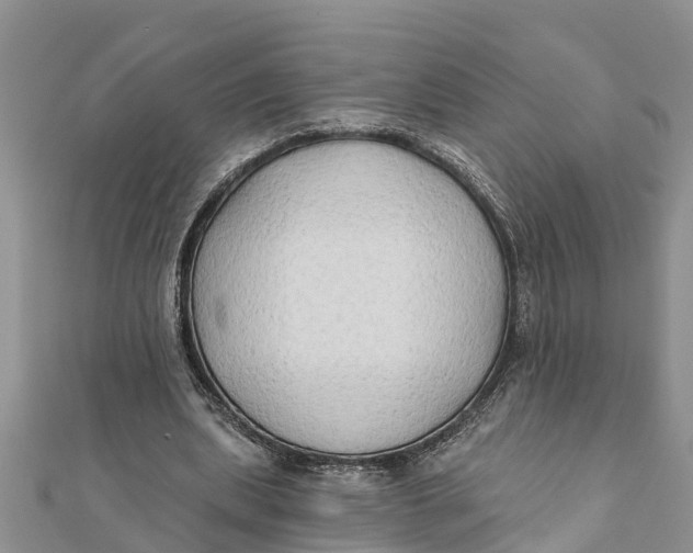 X0000112180439200908281405