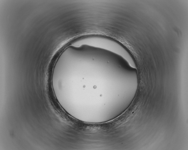 X0000112180440200908281405