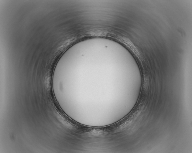 X0000112180441200908281405