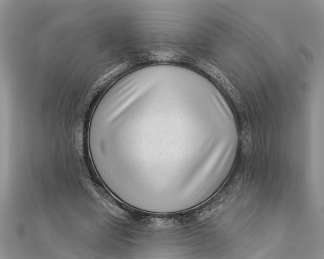 X0000112180442200908281405