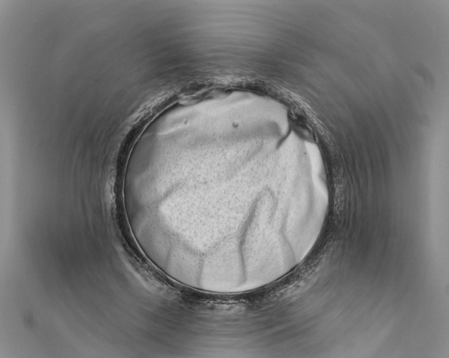 X0000112180443200908281405