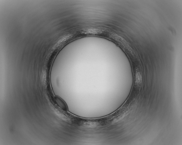 X0000112180444200908281405