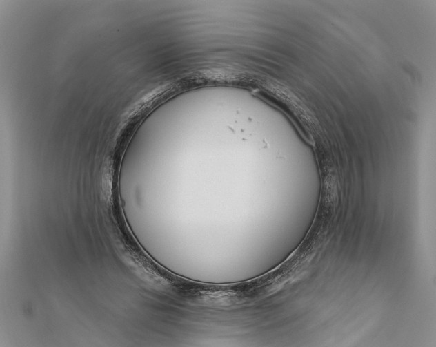 X0000112180446200908281405