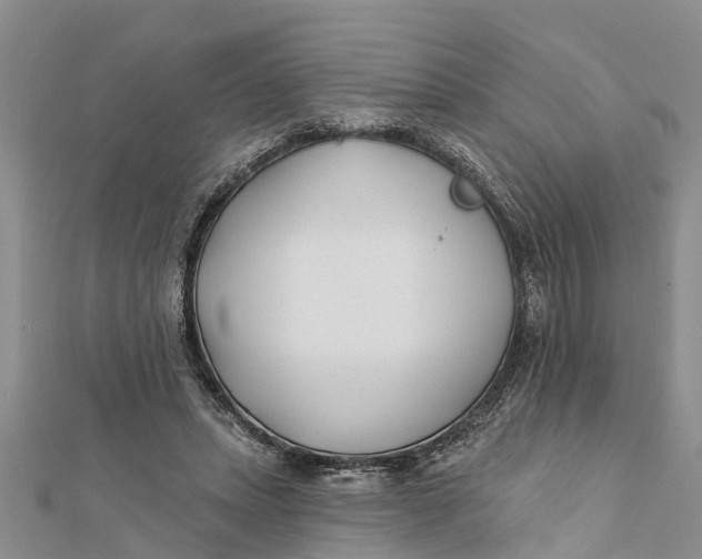 X0000112180447200908281405