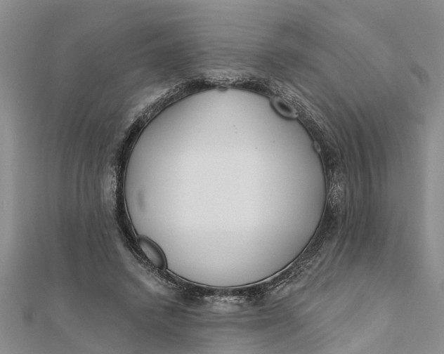 X0000112180448200908281405