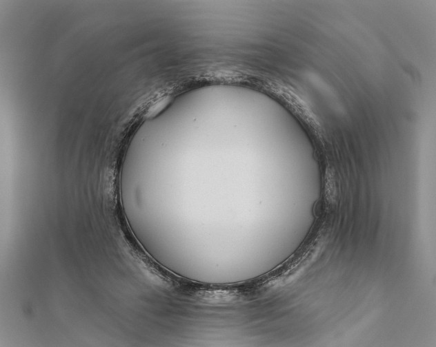 X0000112180449200908281405