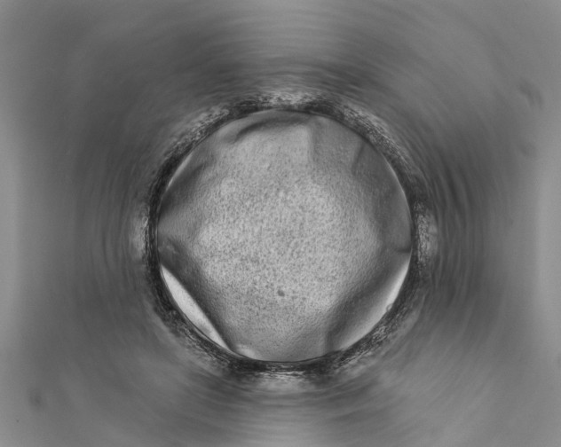 X0000112180451200908281405