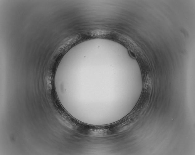 X0000112180452200908281405