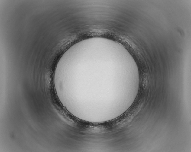 X0000112180455200908281405