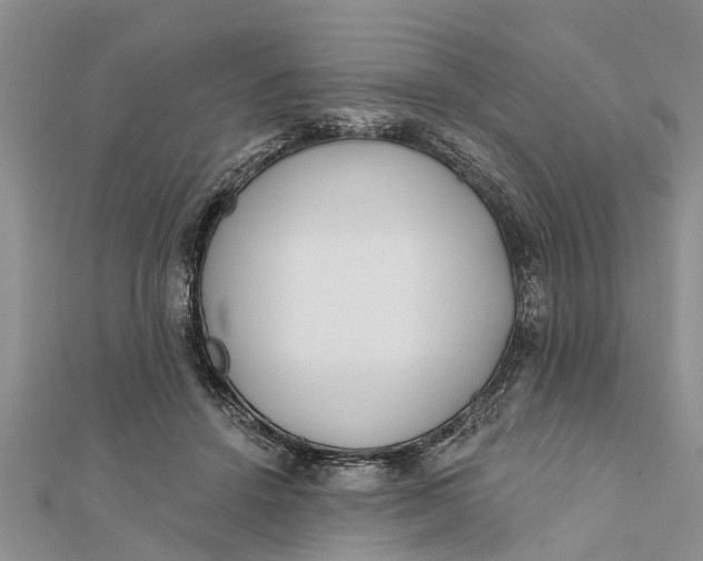 X0000112180456200908281405