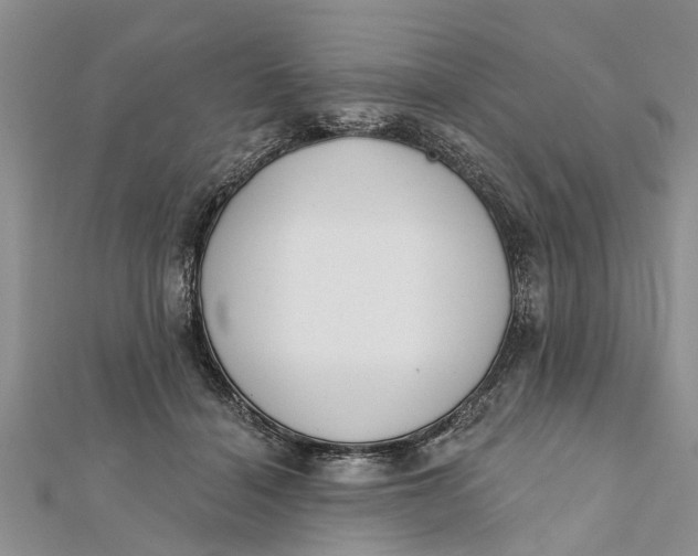 X0000112180460200908281405