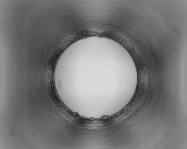 X0000112180463200908281405