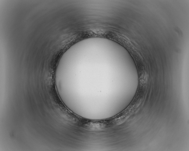 X0000112180464200908281405