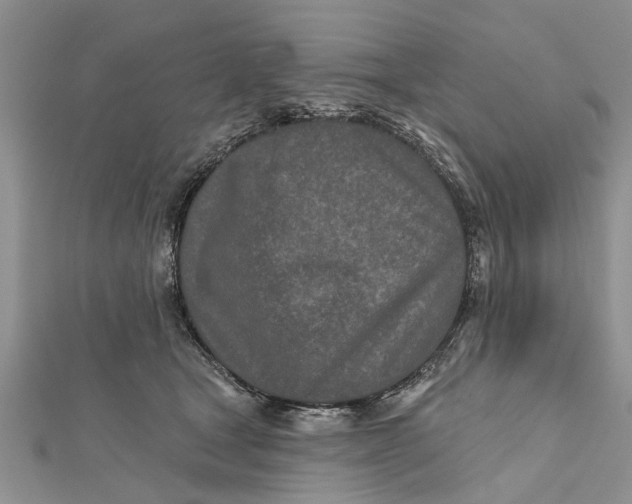 X0000112180465200908281405