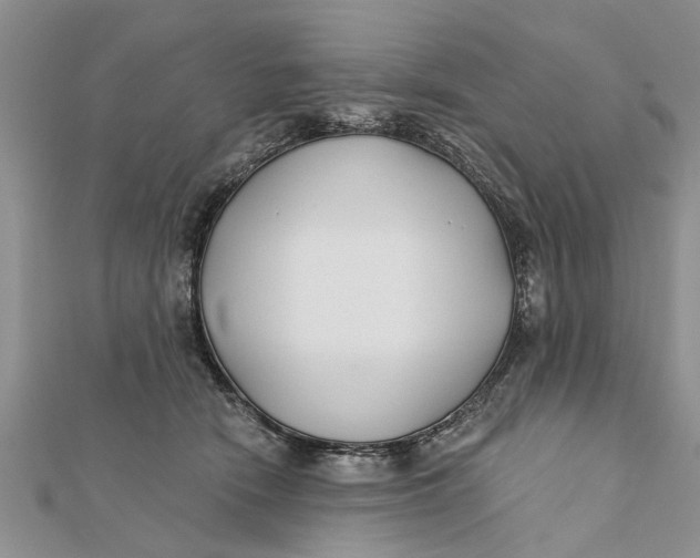 X0000112180466200908281405