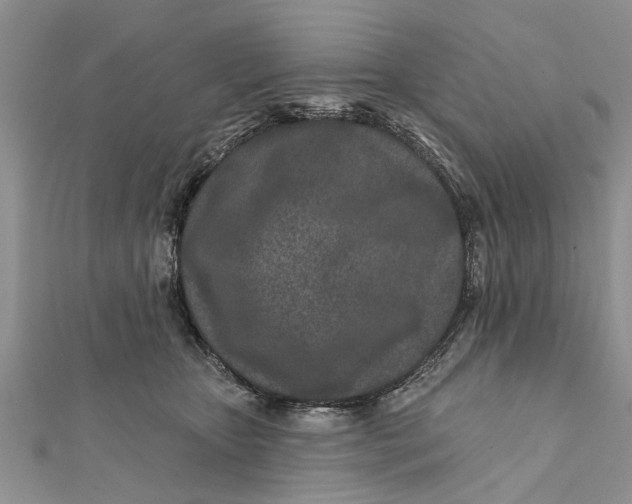 X0000112180467200908281405