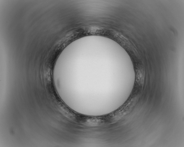 X0000112180470200908281405