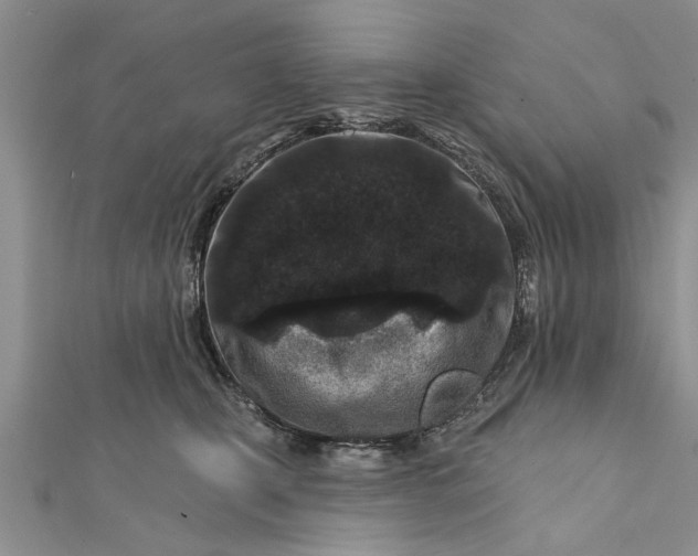 X0000112180471200908281406