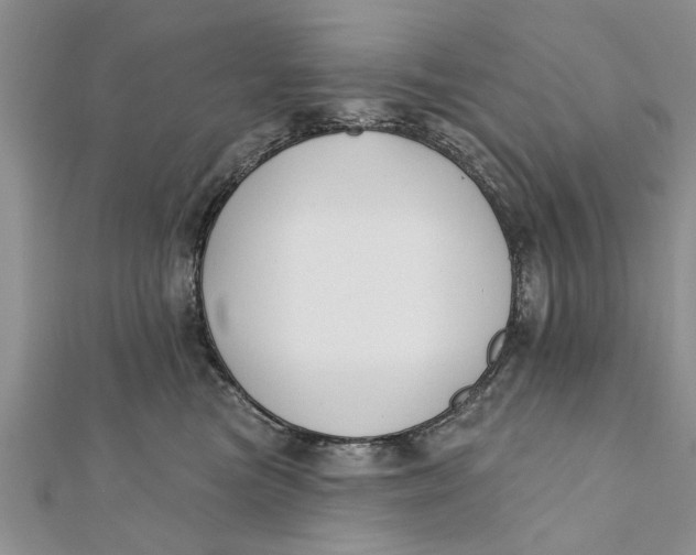 X0000112180473200908281406