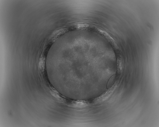 X0000112180475200908281406