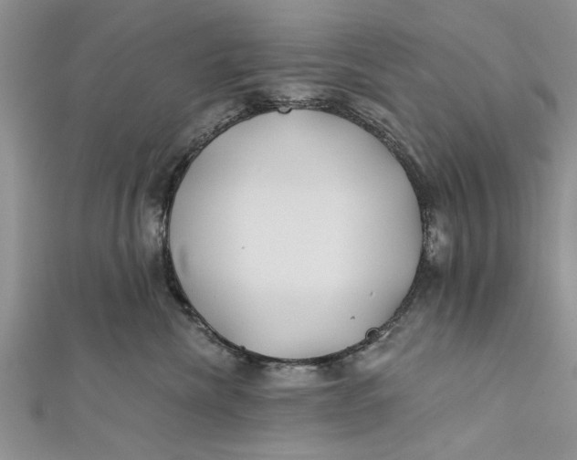 X0000112180476200908281406