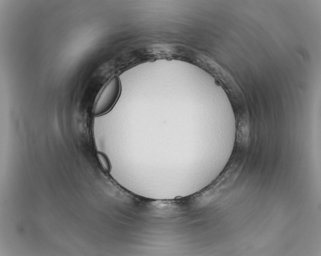 X0000112180477200908281406