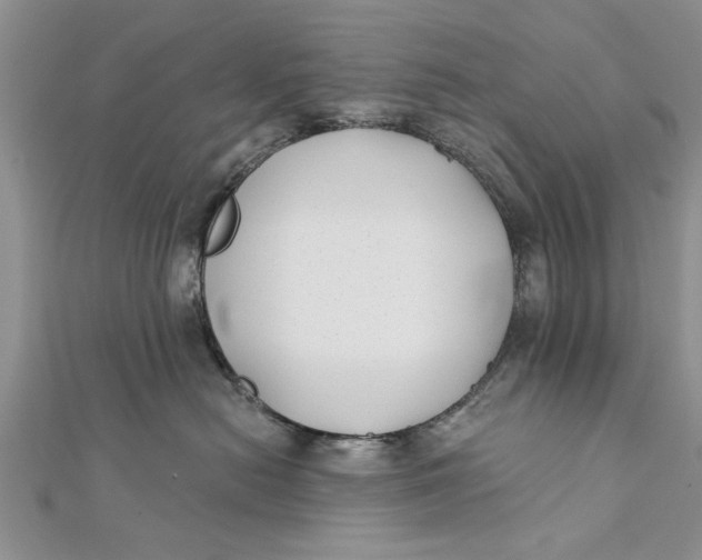 X0000112180478200908281406