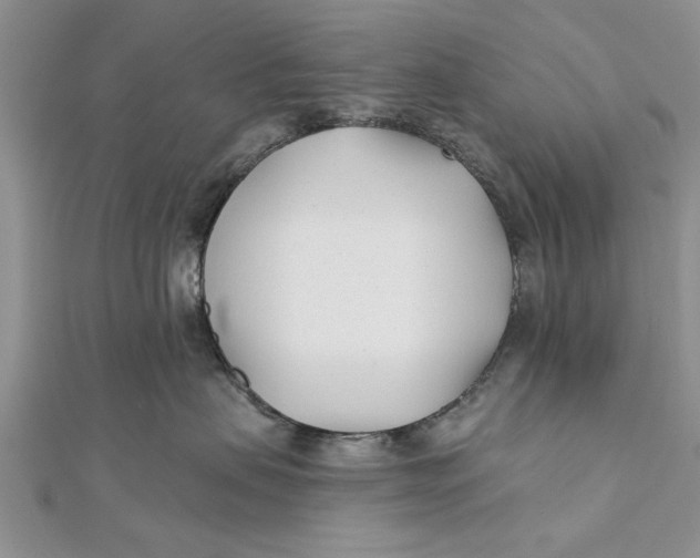 X0000112180479200908281406