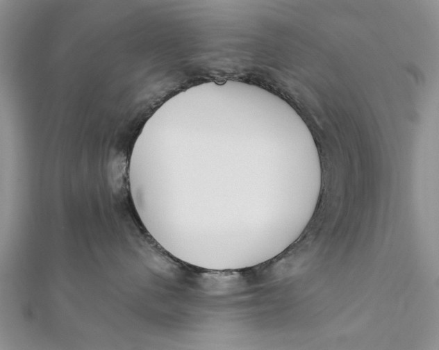 X0000112180480200908281406