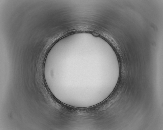 X0000112180481200908281405