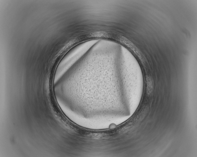 X0000112180482200908281405