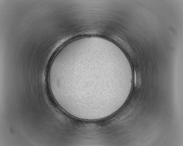 X0000112180483200908281405