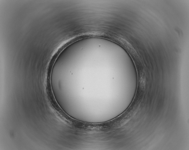 X0000112180484200908281405