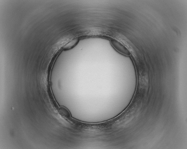 X0000112180485200908281405