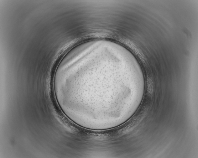 X0000112180486200908281405