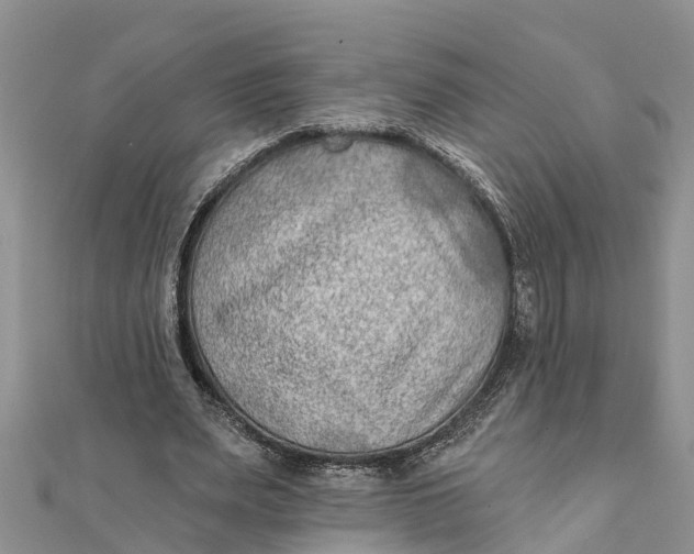 X0000112180487200908281405