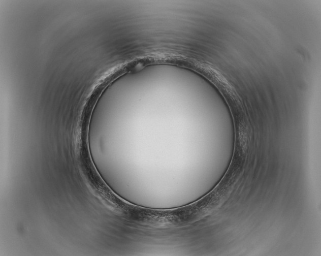 X0000112180488200908281405