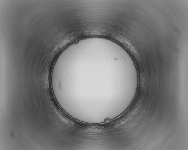 X0000112180489200908281405