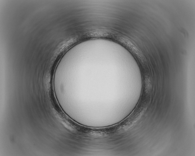 X0000112180490200908281405