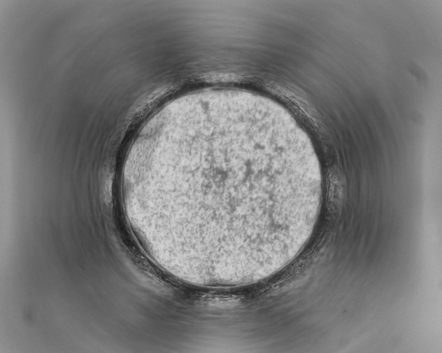 X0000112180491200908281405