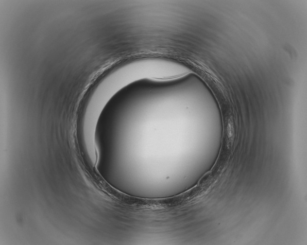 X0000112180492200908281405