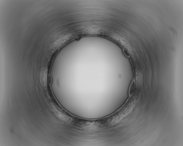 X0000112180493200908281405