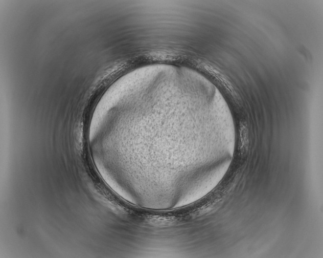 X0000112180494200908281405