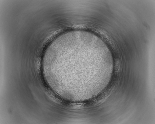 X0000112180495200908281405