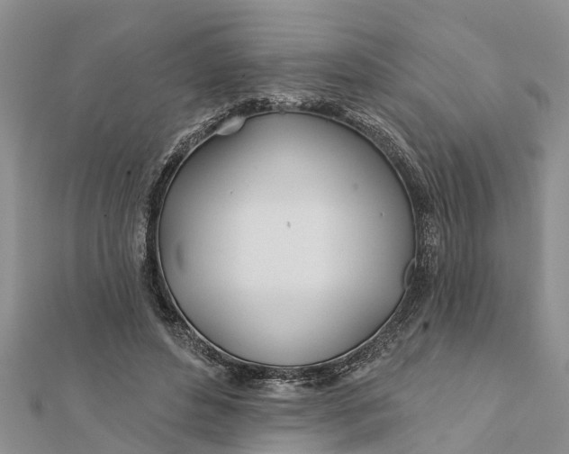 X0000112180496200908281405