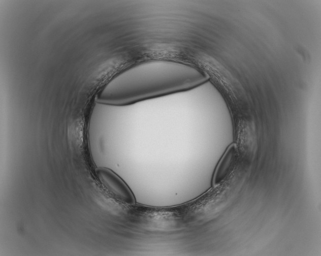 X0000112180501200908281405