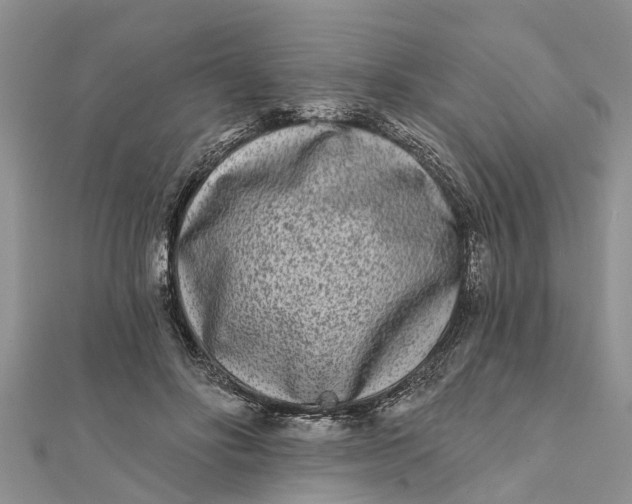 X0000112180502200908281405