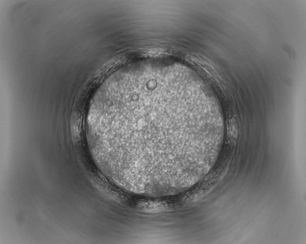 X0000112180503200908281405