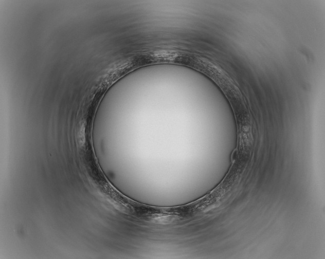 X0000112180504200908281405