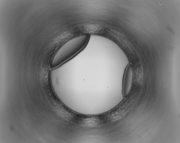 X0000112180505200908281405